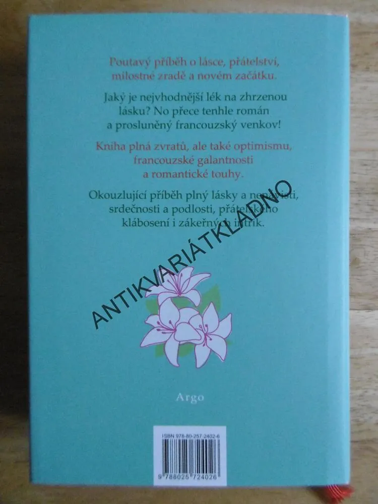 HOTÝLEK V ÚDOLÍ LOIRY, HELEN POLLARDOVÁ, **an