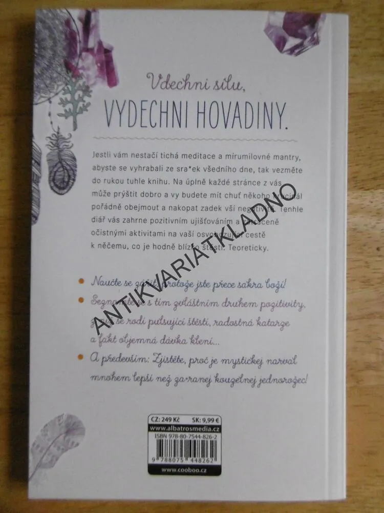 ZEN JAK SVIŇ*, DENÍK PROCVIČOVÁNÍ BLAHODÁRNÉHO UMĚNÍ Z NIČEHO SE NEPO*RAT, MONICA SWEENEYOVÁ