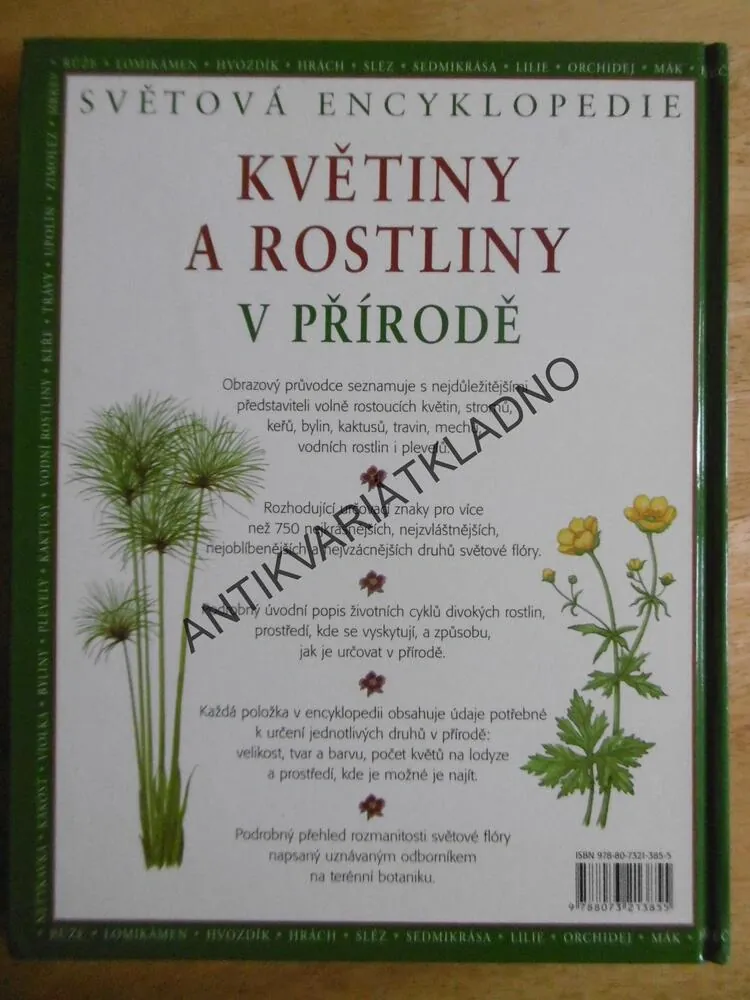 KVĚTINY A ROSTLINY V PŘÍRODĚ, SVĚTOVÁ ENCYKLOPEDIE, MICK LAVELLE, **an