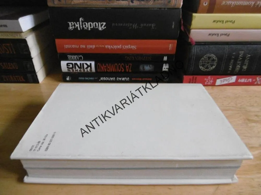 MYŠLENKY MODERNÍCH MALÍŘŮ, MIROSLAV LAMAČ, **an