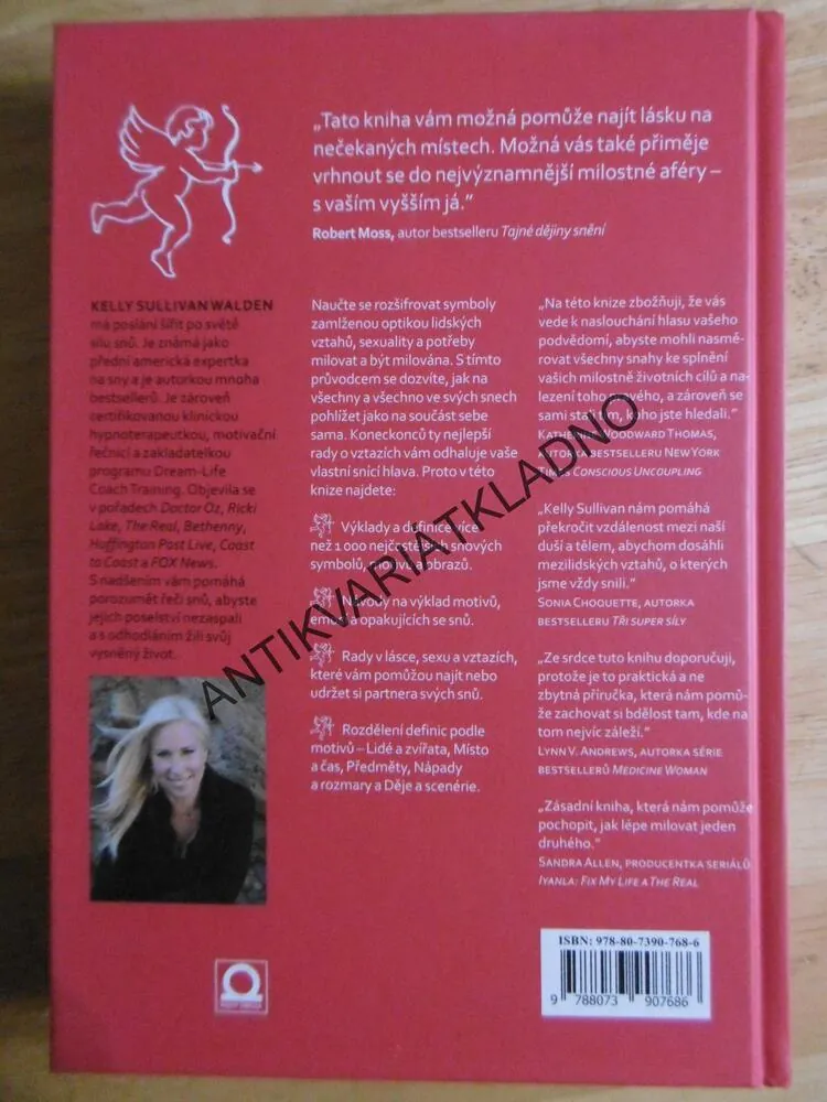 SNÁŘ, LÁSKA, SEX A VZTAHY, KELLY SULLIVAN WALDEN, 1000 SYMBOLŮ, **an