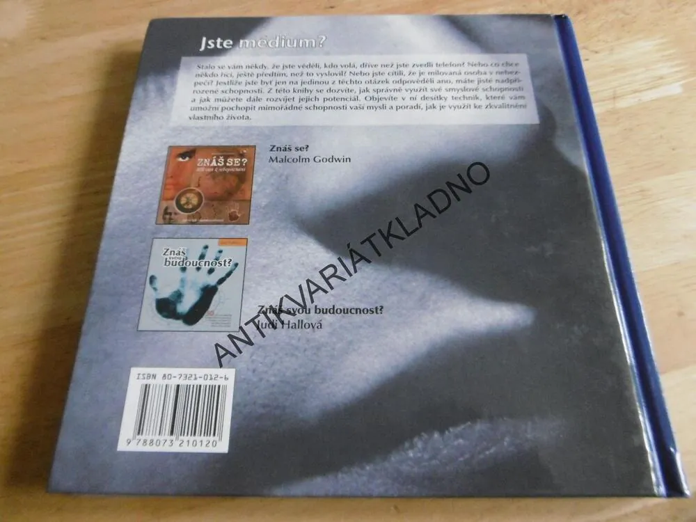 JSTE MÉDIUM? DESÍTKY TECHNIK K PROBUZENÍ VAŠICH VNITŘNÍCH SIL, JULIE SOSKINOVÁ, **an