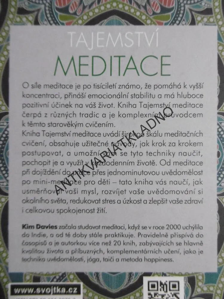 TAJEMSTVÍ MEDITACE, KIM DAVIES