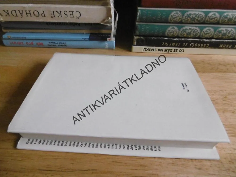 STŘEDOVĚKÁ FILOZOFIE, VASILIK VASILJEVIČ SOKOLOV, **an