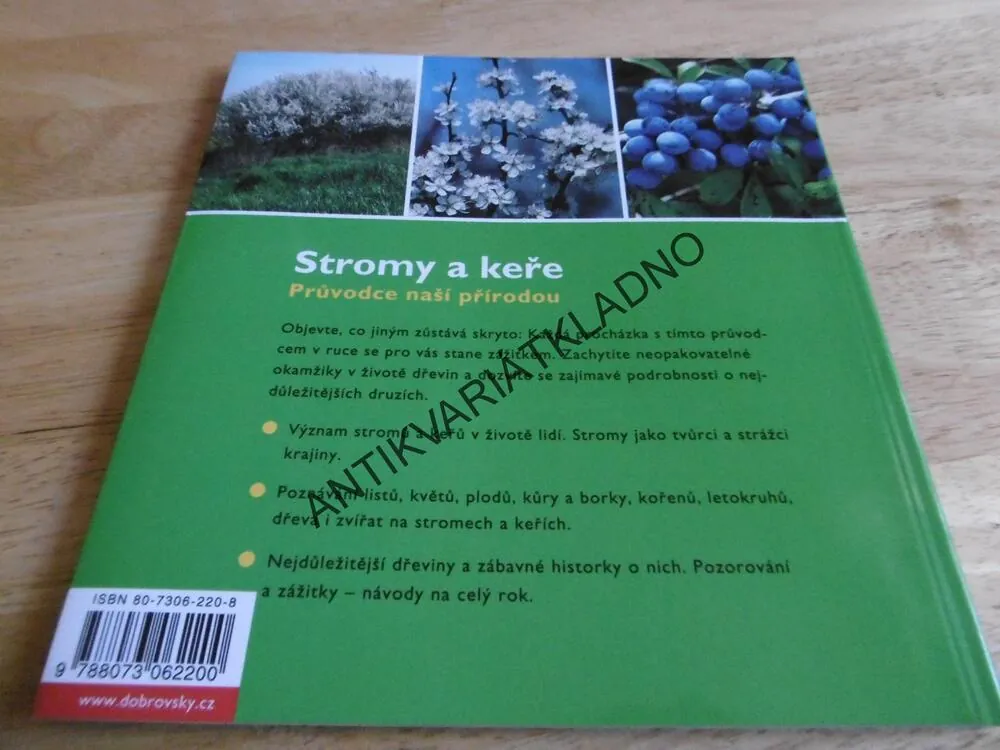 STROMY A KEŘE, PRŮVODCE NAŠÍ PŘÍRODOU, M. LOHMANN, **an