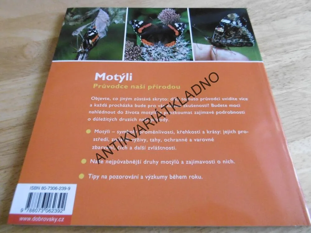 MOTÝLI, PRŮVODCE NAŠÍ PŘÍRODOU, M. LOHMANN, **an