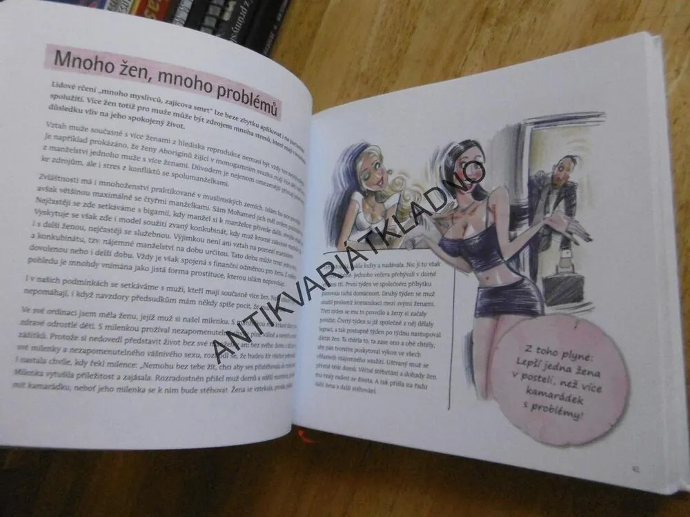 MUŽI CHTĚJÍ MILENKY, JAK JAK BÝT TA JEDINÁ, STYLOVÝ PRŮVODCE, LAURA JANÁČKOVÁ, **an
