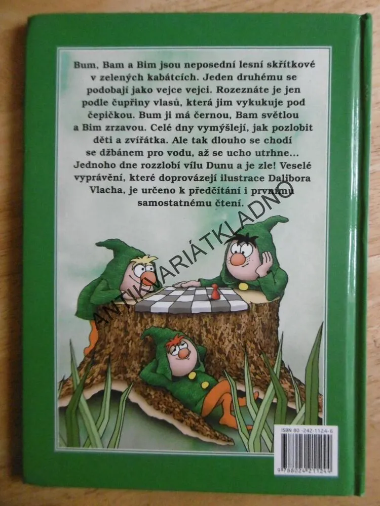 BUM, BAM A BIM, ALEXANDRA DOLANOVÁ, **an