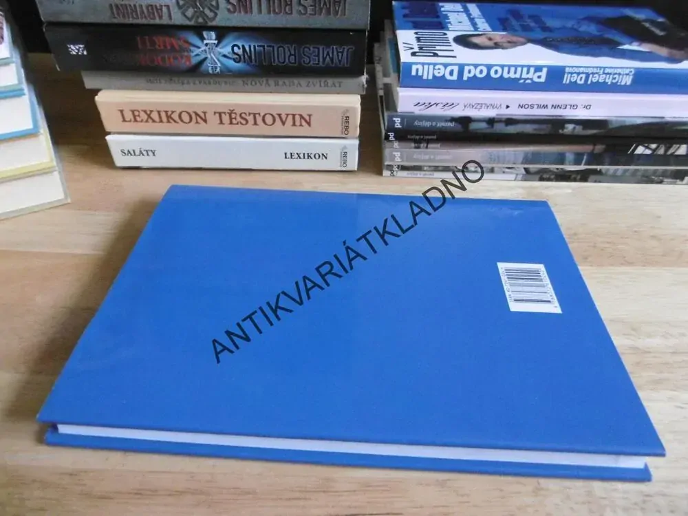 PŘÍMO OD DELLU, MICHAEL DELL, CATHERINE FREDMANOVÁ, STRATEGIE, KTERÉ PROMĚNILY CELÉ ODVĚTVÍ, **an