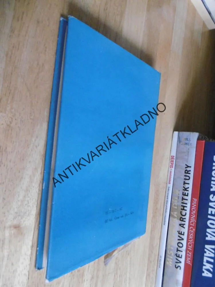 VIKINGOVÉ SÁGA TŘÍ STALETÍ, JOHANNES BRONDSTED, **an