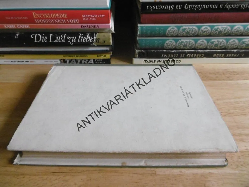 PRAVĚKÁ SPOLEČNOST, LEWIS H. MORGAN, **an