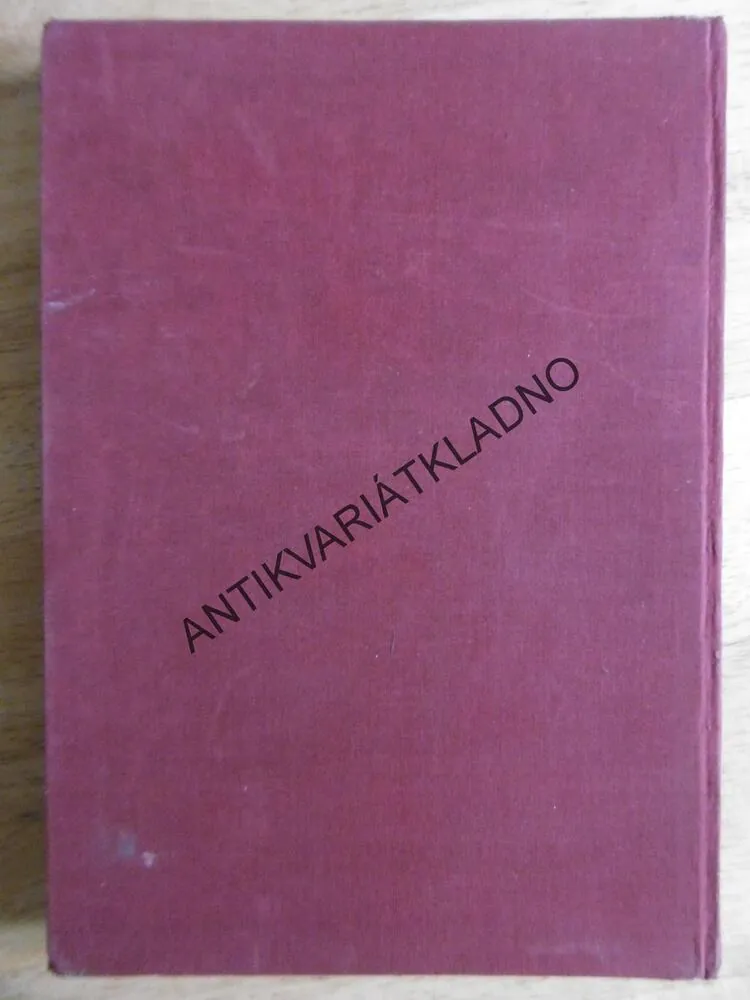 NĚMECKÉ VÝTVARNÉ UMĚNÍ, GEORG SCHORER, NĚMECKY, 1941, **an