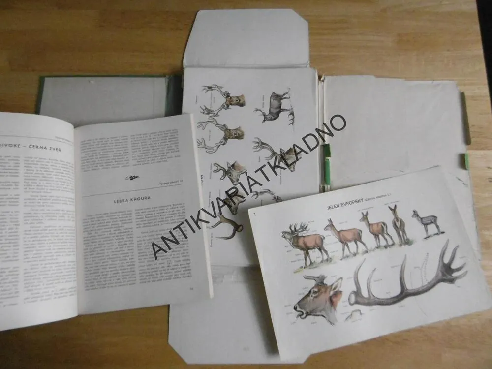 MYSLIVOST V OBRAZECH, ZOOLOGIE, TEXT + KARTY,