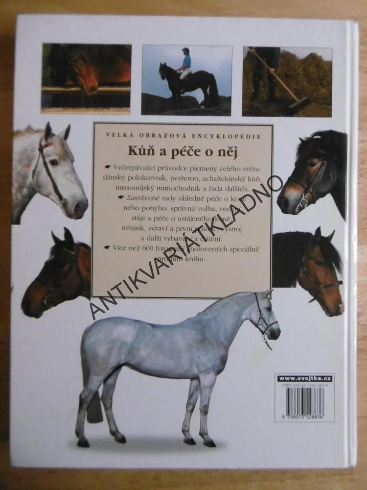 KŮŇ A PÉČE O NĚJ, JUDIT DRAPEROVÁ, **an