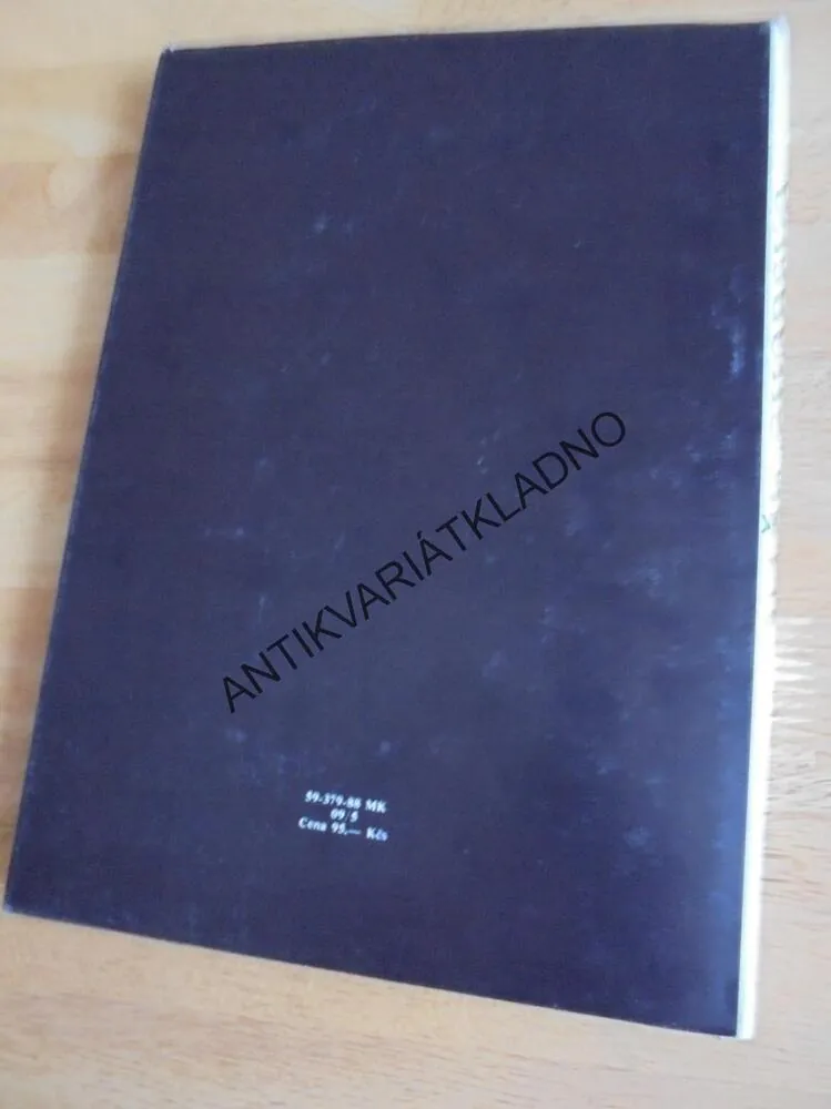 NAŠE CHODSKO, ETNOGRAFIE, MÍSTOPIS, 1990