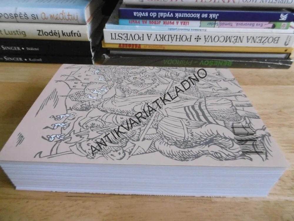 DOCUMENTA PRAGENSIA XXXVIII, MĚSTO A JEHO HRADBY, VÍCEJAZYČNÉ, P-A