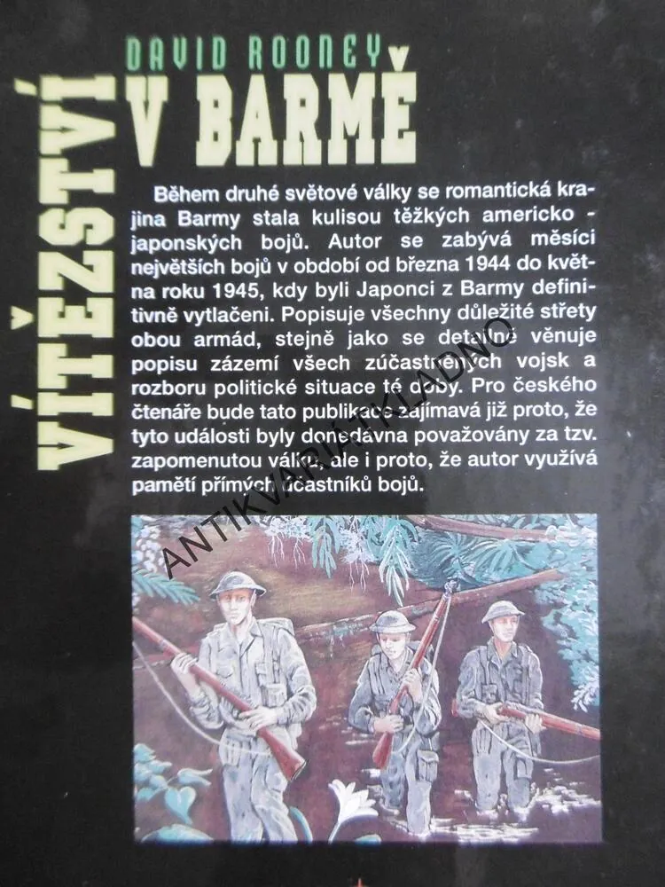 VÍTĚZSTVÍ V BARMĚ, DAVID ROONEY, **an