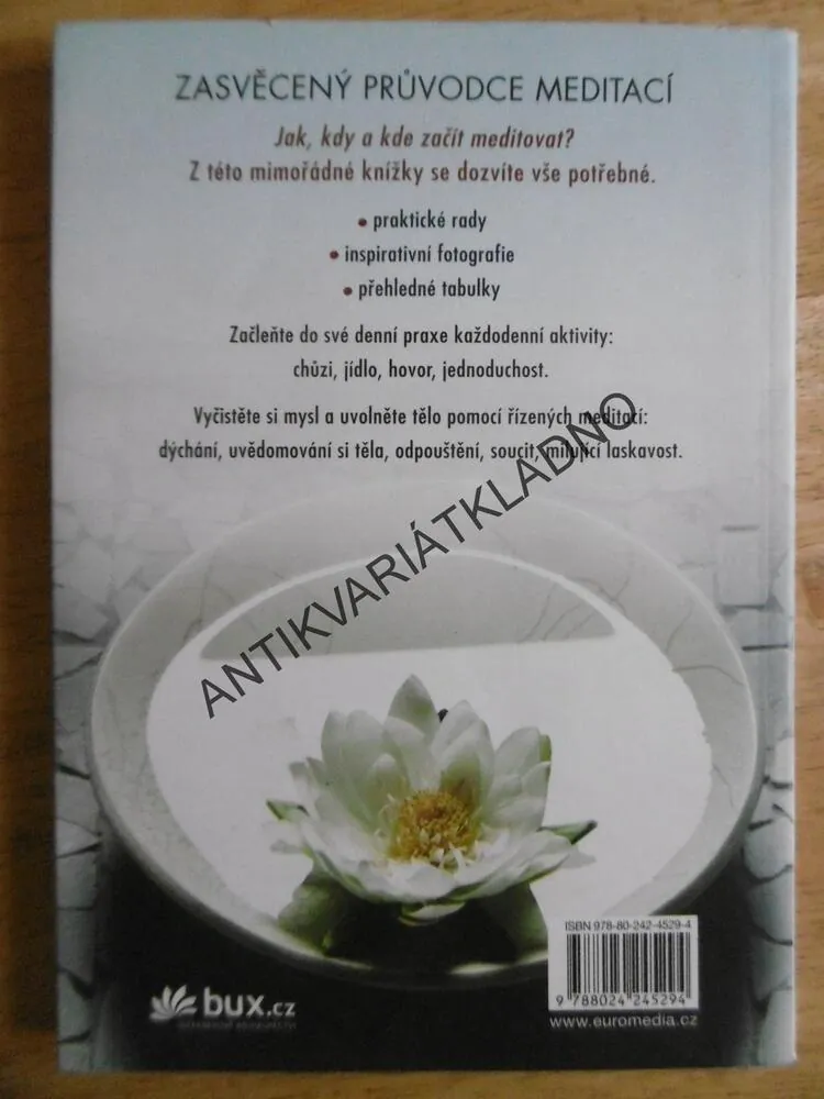 MEDITACE PRO ZAČÁTEČNÍKY, PRAXE BDĚLÉHO ŽIVOT, CHRISTINA FELDMAN, **an