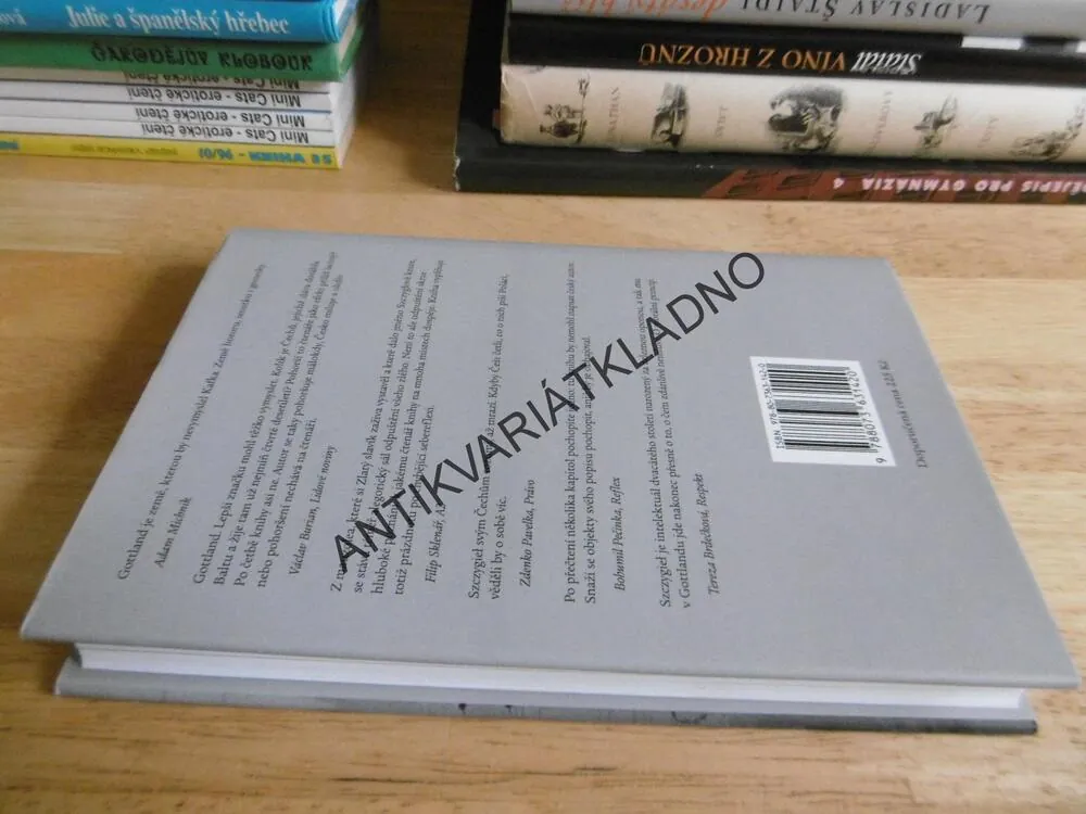 GOTTLAND, MARIUSZ SZCZYGIEL, **an