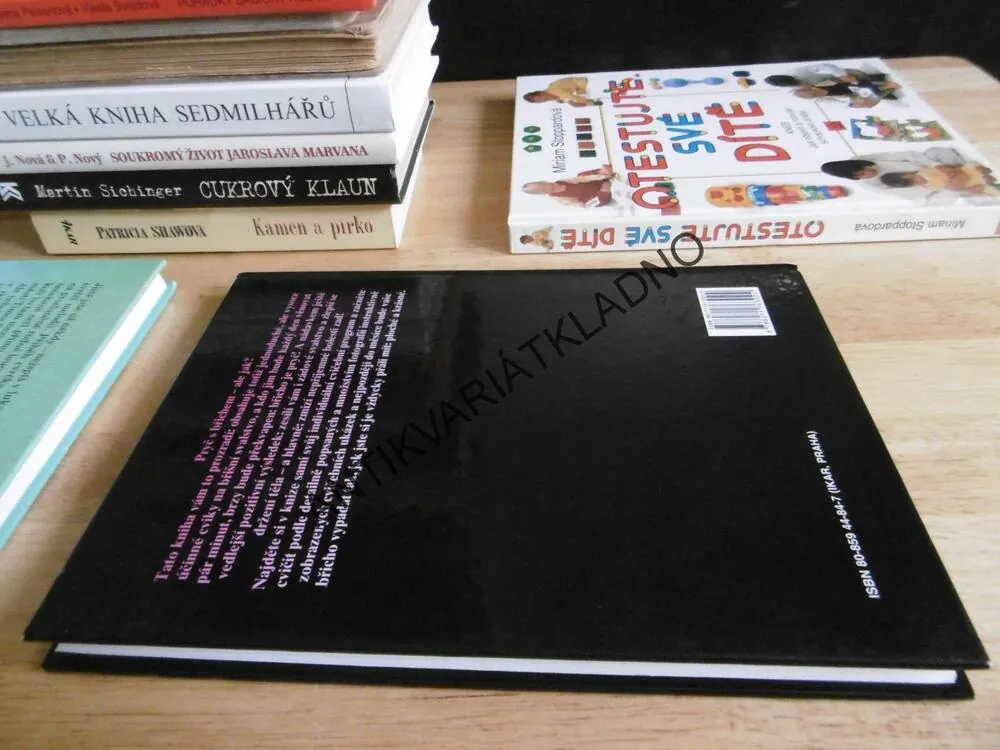 PRYČ S BŘICHEM, ÚČINNÁ CESTA K PLOCHÉMU BŘICHU, K. AMENOVÁ, DOBINSONOVÁ, POSILOVÁNÍ, CVIČENÍ, **an