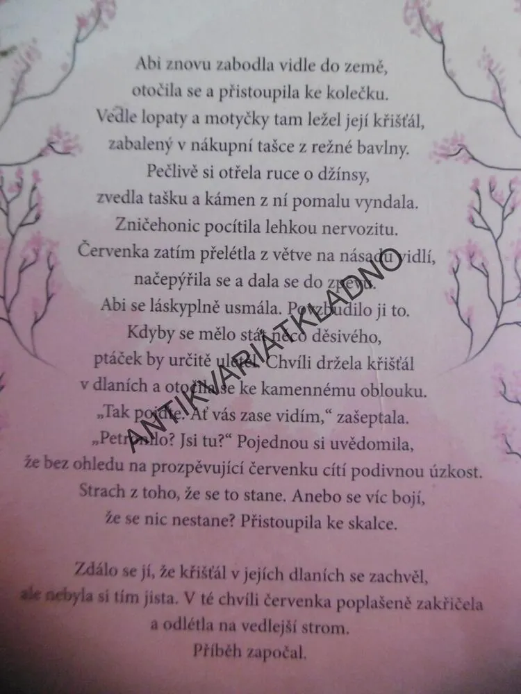 DĚDICTVÍ MINULOSTI, BARBARA ERSKINOVÁ, **an