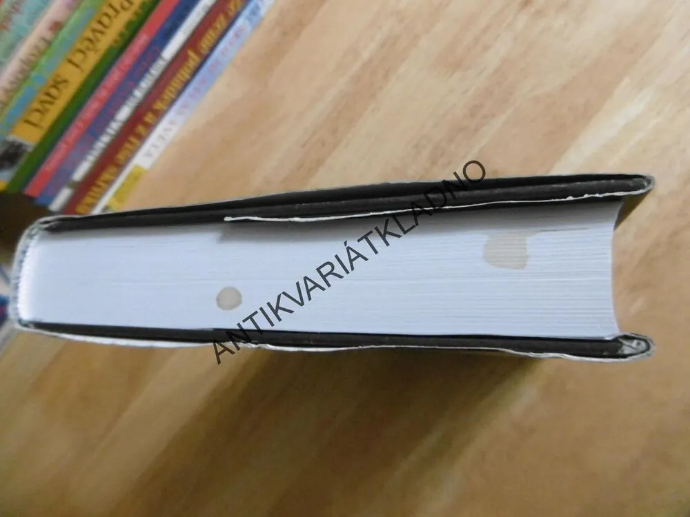 BAZAR ZLÝCH SNŮ, STEPHEN KING, **an