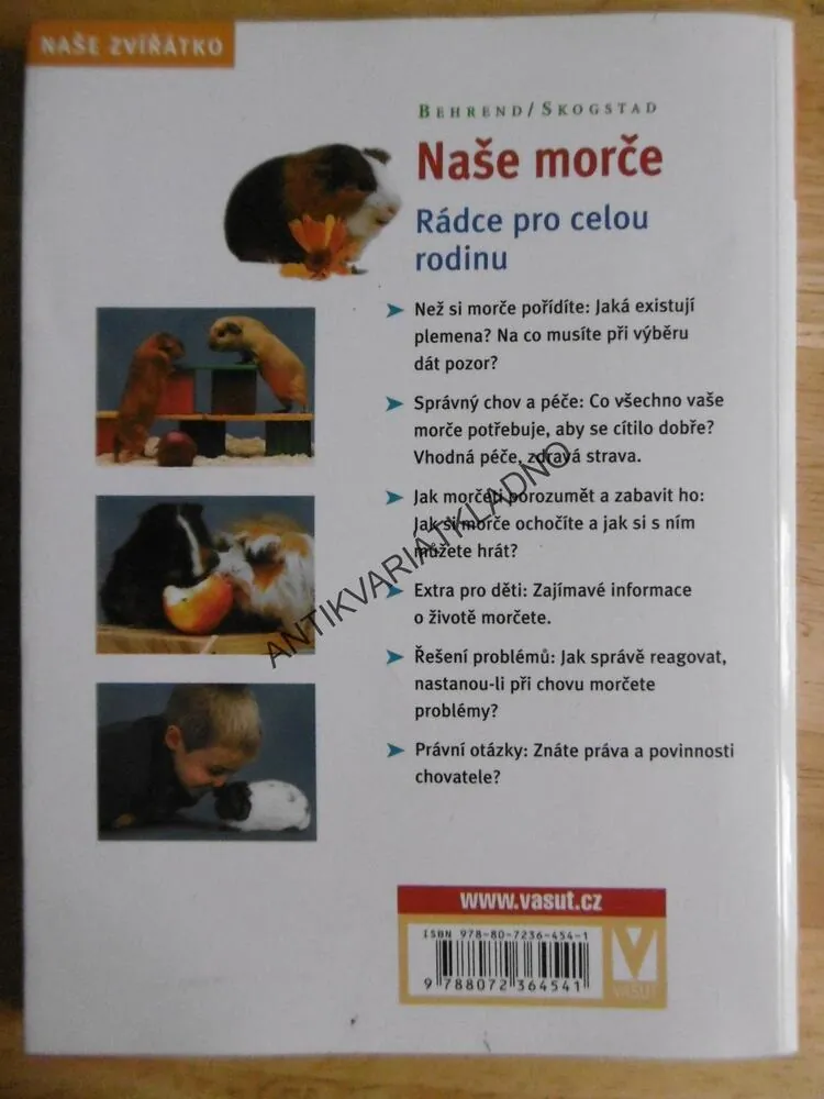 NAŠE MORČE, NAŠE ZVÍŘÁTKO, CHOV, KRMENÍ, VÝCHOVA