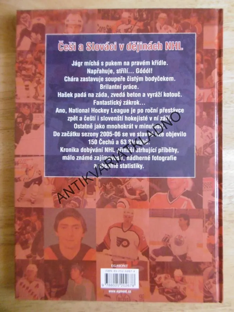 ČEŠI A SLOVÁCI V DĚJINÁCH NHL, KAREL KNAP, LEDNÍ HOKEJ, **an