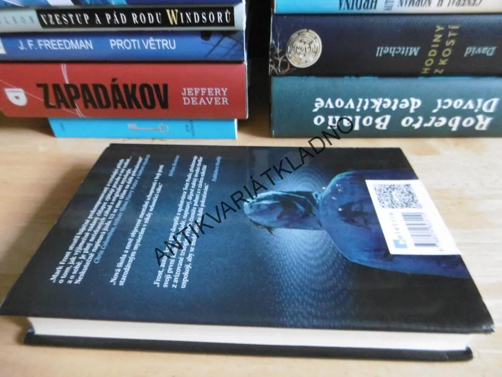PALADINOVO PROROCTVÍ, PROBUZENÍ, MARK FROST, **an