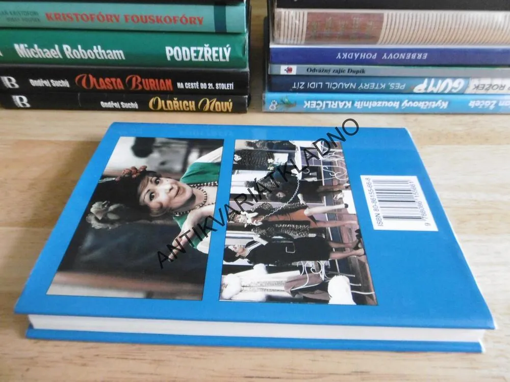 VŠECHNO O JIŘINĚ BOHDALOVÉ A JIŘINA BOHDALOVÁ O SOBĚ, PAVEL TROJAN, JIŘÍ BALVÍN, **an