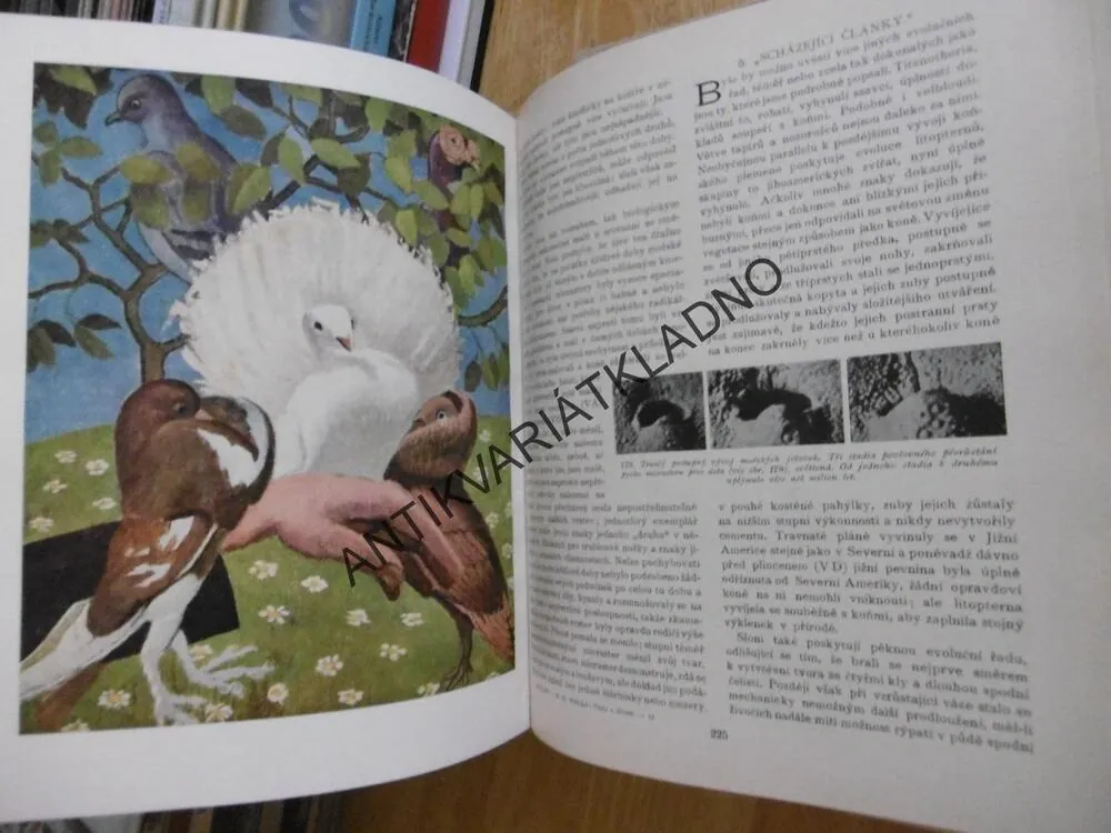 VĚDA O ŽIVOTĚ, 1-3., H.G WELLS, J.HUXLEY, G.P.WELLS,1931,  **an