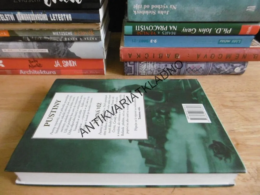 TEMNÁ VĚŽ, PUSTINY, STEPHEN KING, **an