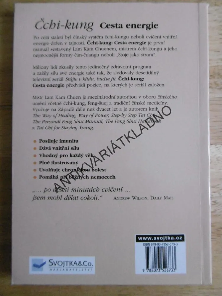 ČCHI-KUNG CESTA ENERGIE, MISTR LAM KAM CHUEN
