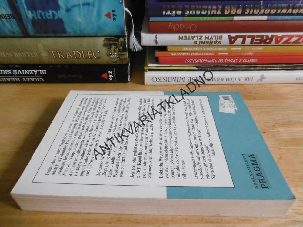 BUĎTE SVOU VLASTNÍ TERAPEUTKOU, JSTE ZODPOVĚDNÍ ZA SVÉ DUŠEVNÍ ZDRAVÍ, SUSAN WRIGHT, Ph. D., **an
