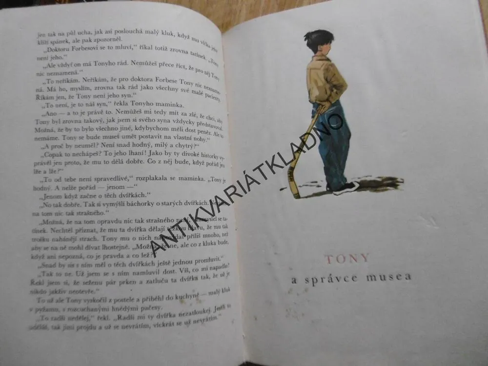 TONY A ZÁZRAČNÁ DVÍŘKA, HOWARD FAST, **an