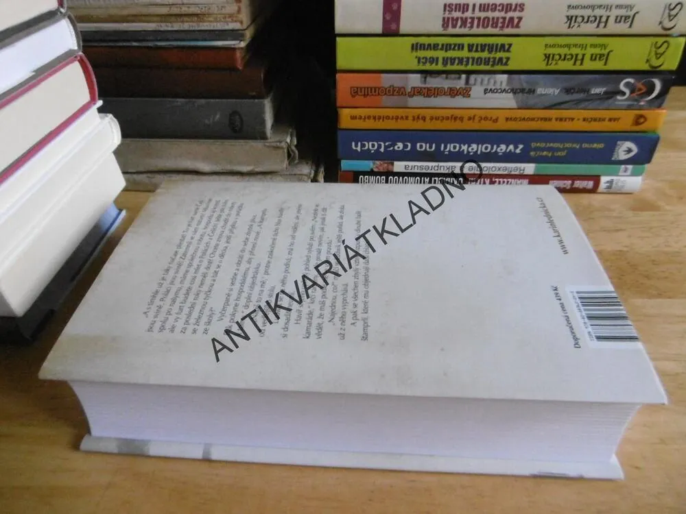 ŠIKMÝ KOSTEL, DRUHÝ DÍL, KARIN LEDNICKÁ, **an