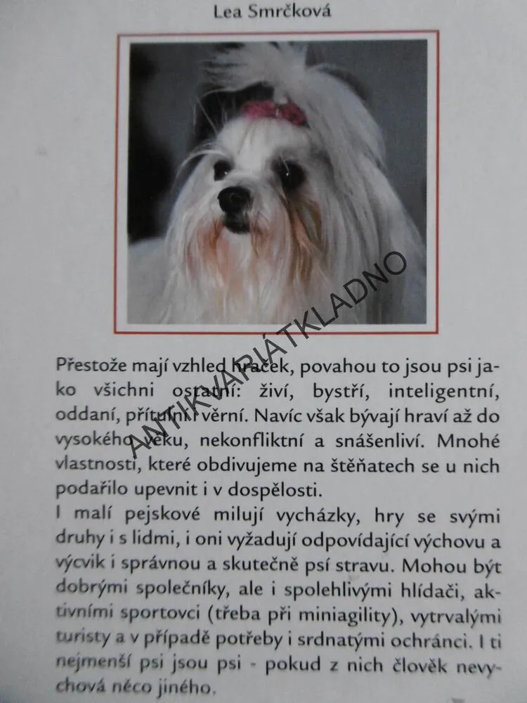 PSI DO KAPSY, LEA SMRČKOVÁ,  **an
