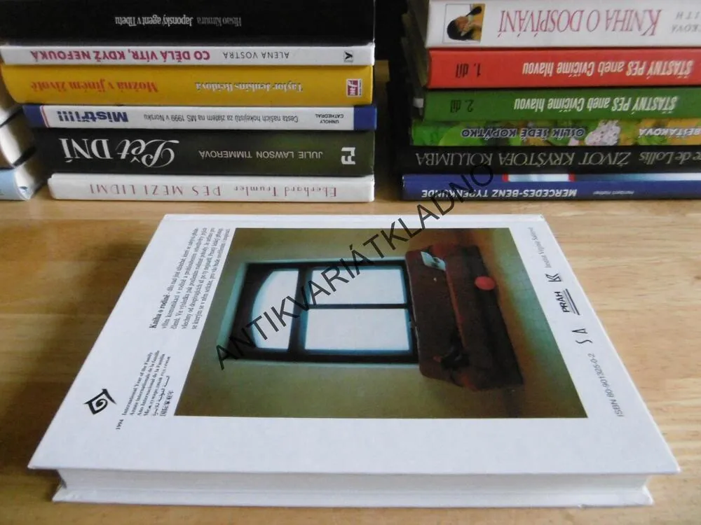 KNIHA O RODINĚ, VIRGINIA SATIROVÁ, , **an