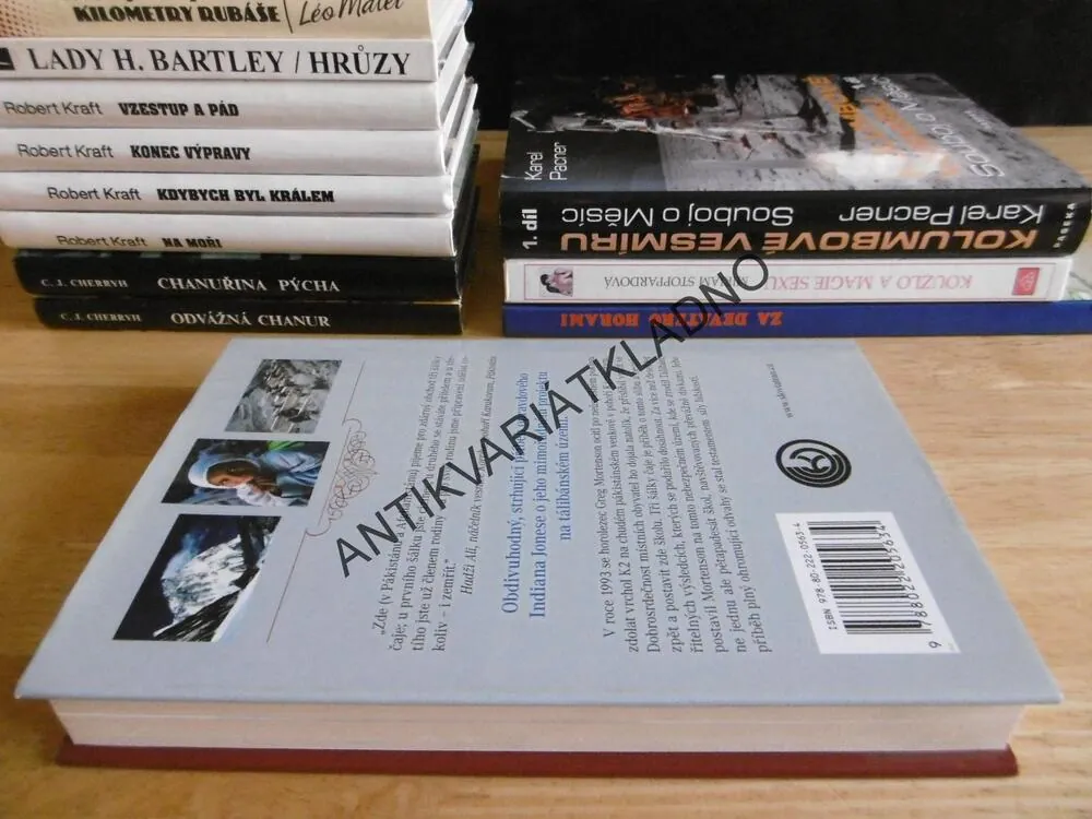 TŘI ŠÁLKY ČAJE, GREG MORTENSON, DAVID OLIVER RELIN, **an
