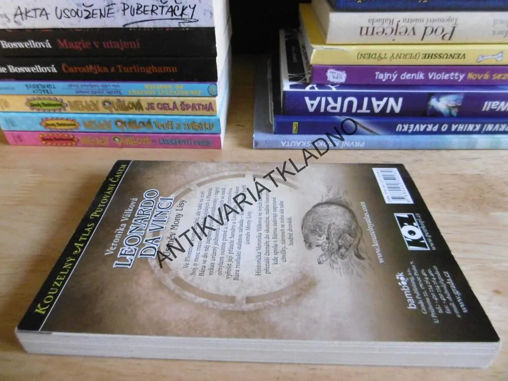 LEONARDO DA VINCI, ÚSMĚV MONY LISY, VERONIKA VÁLKOVÁ, **an