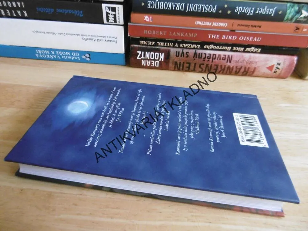 KAMENNÝ MOST, TOMÁŠ VOREL, **an