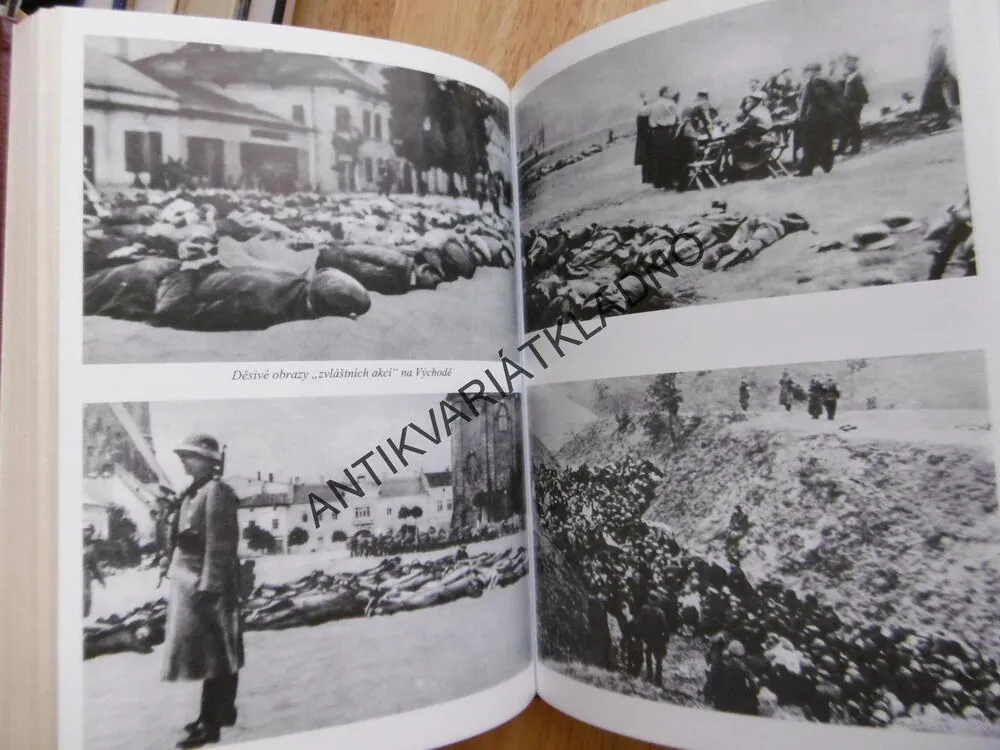 HOLOCAUST... A BŮH TEHDY MLČEL, ROMAN CÍLEK