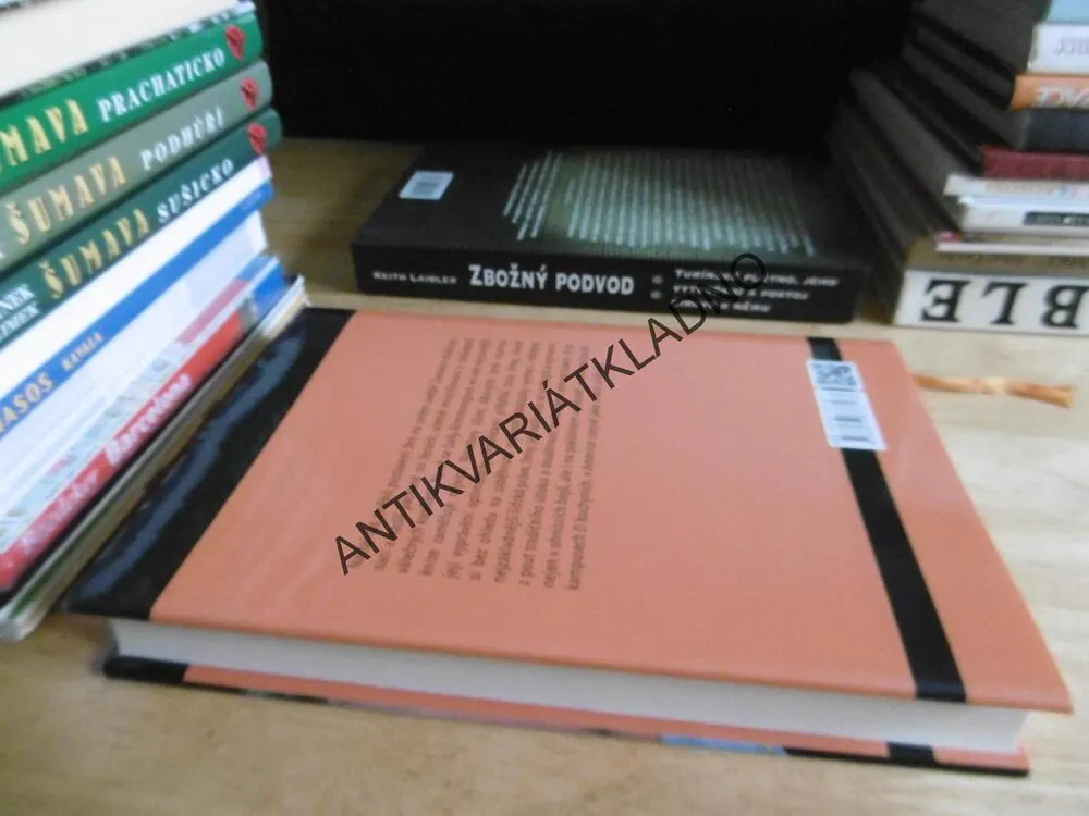 VZPOURA: ÚSVIT NOVÉHO VĚKU PRO VŠECHNY EVINY DCERY, SALLY ARMSTRONGOVÁ, **an