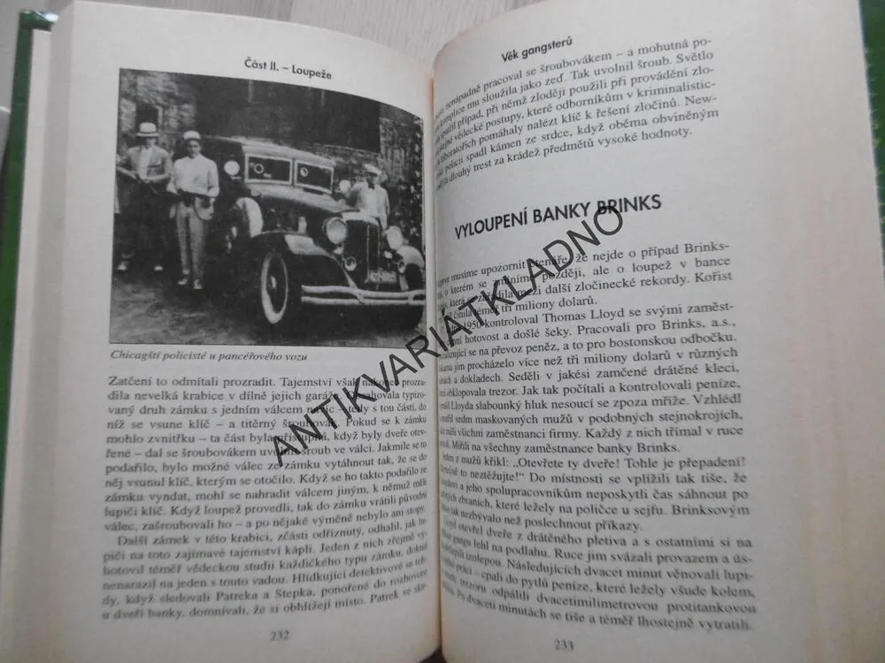 NEJSLAVNĚJŠÍ SVĚTOVÉ ZLOČINY, COLIN, DAMON A ROWAN WILSONOVI, **an
