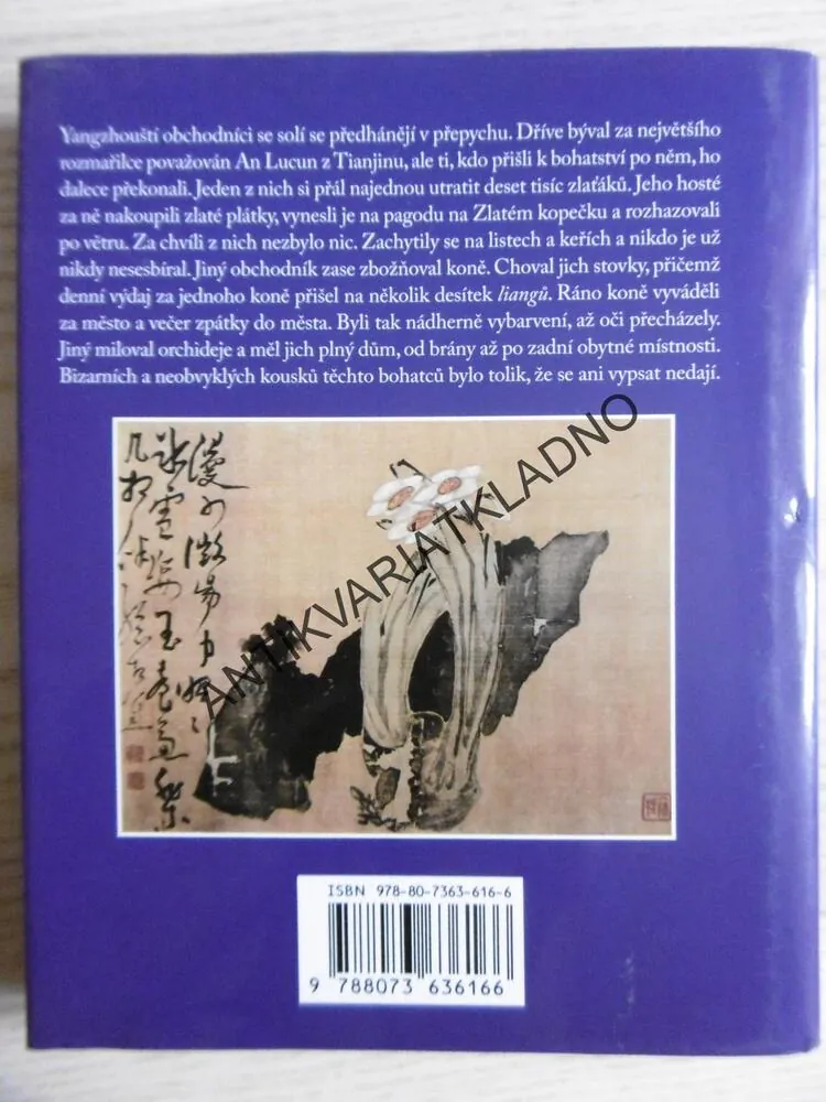 MĚSTO RADOVÁNEK NA DLOUHÉ ŘECE, LUCIE OLIVOVÁ, **an
