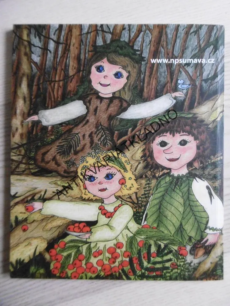 TAJEMSTVÍ ŠUMAVSKÝCH STROMŮ, KOLEKTIV AUTORŮ, **an