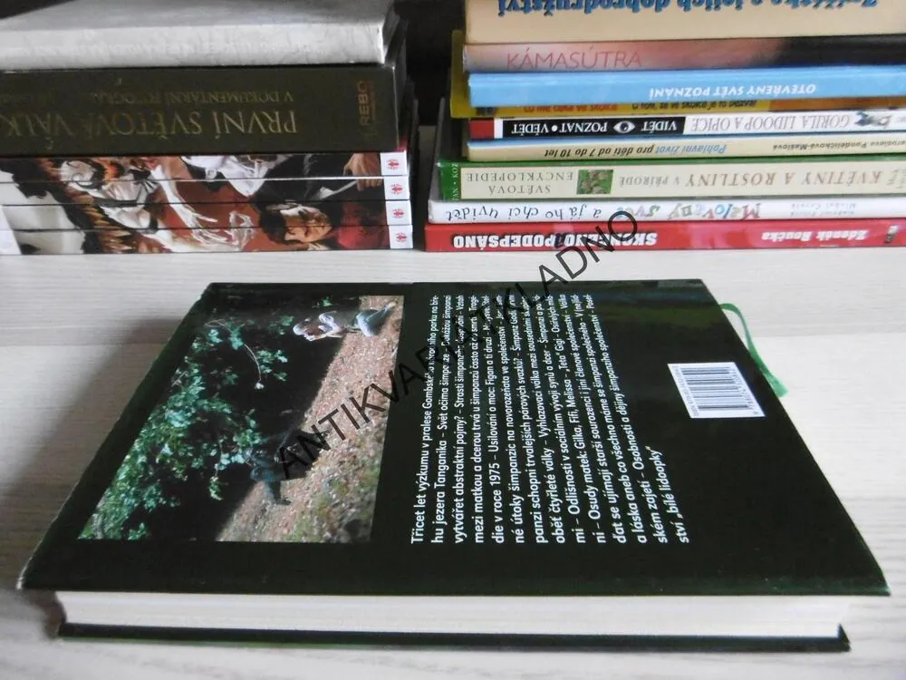 POHLED OKNEM, JANE GOODALLOVÁ