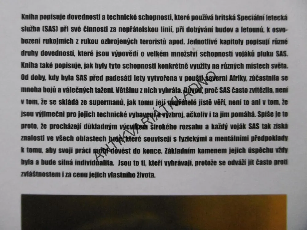 BOJOVÉ UMĚNÍ SAS, MIKE ROBINSON, **an