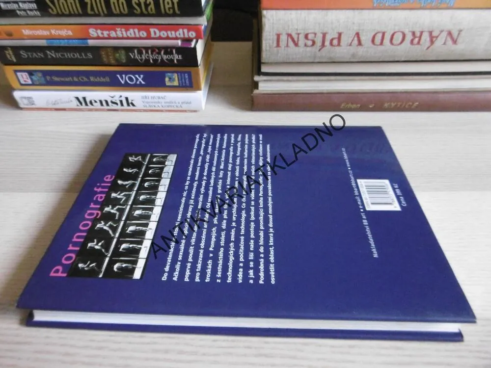 PORNOGRAFIE, TAJNÉ DĚJINY CIVILIZACE, ISABEL TANGOVÁ,**an