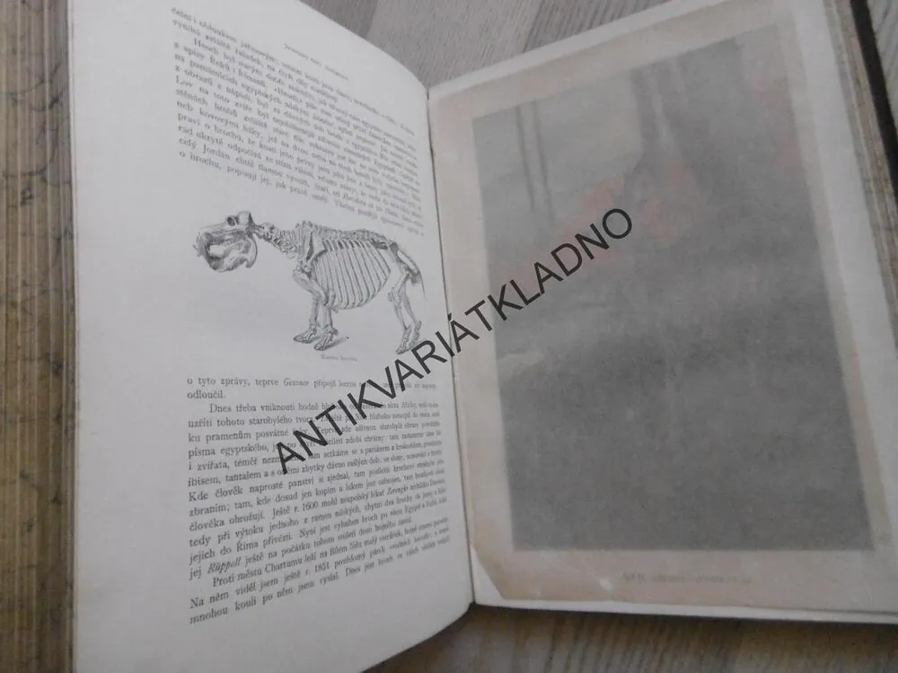 BREHM, BREHMŮV ŽIVOT ZVÍŘAT 1., SAVCI.2. **an